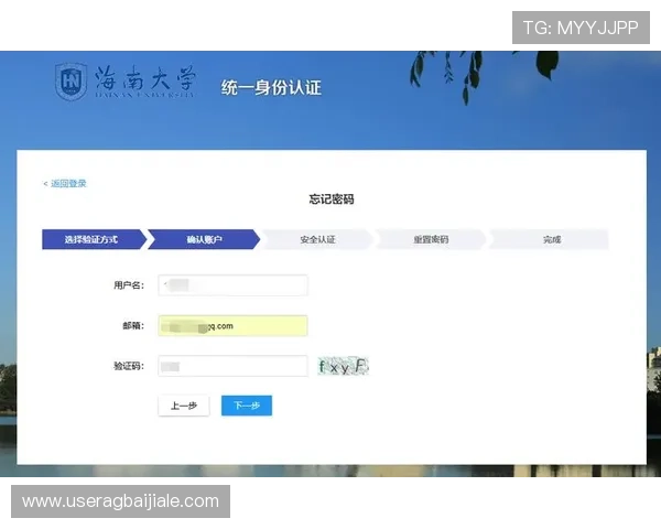 云顶集团3118登录账号密码忘记怎么办，详细步骤教你快速找回账号